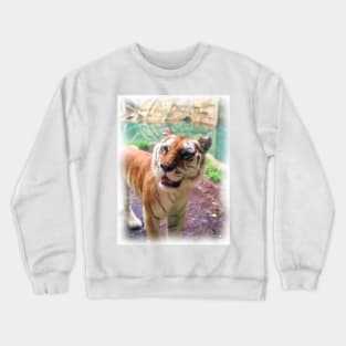 Tiger Crewneck Sweatshirt